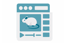 2D-AI动物⾏为分析系统