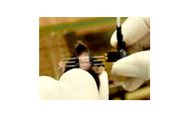 小鼠移动眼动追踪系统